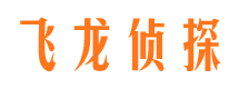 林甸侦探社